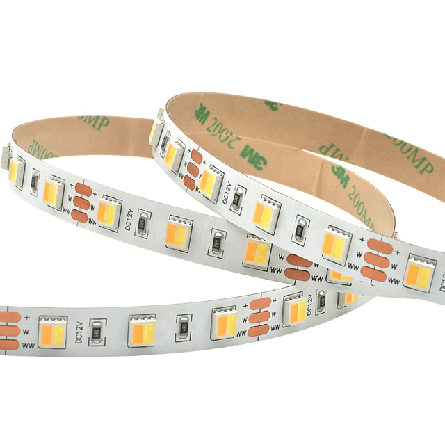 SMD 5050 2 in1 60LEDs/m CCT Tunable Flexible LED Strip Light