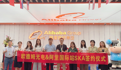 LED Strip SKA Manufacturer on Alibaba